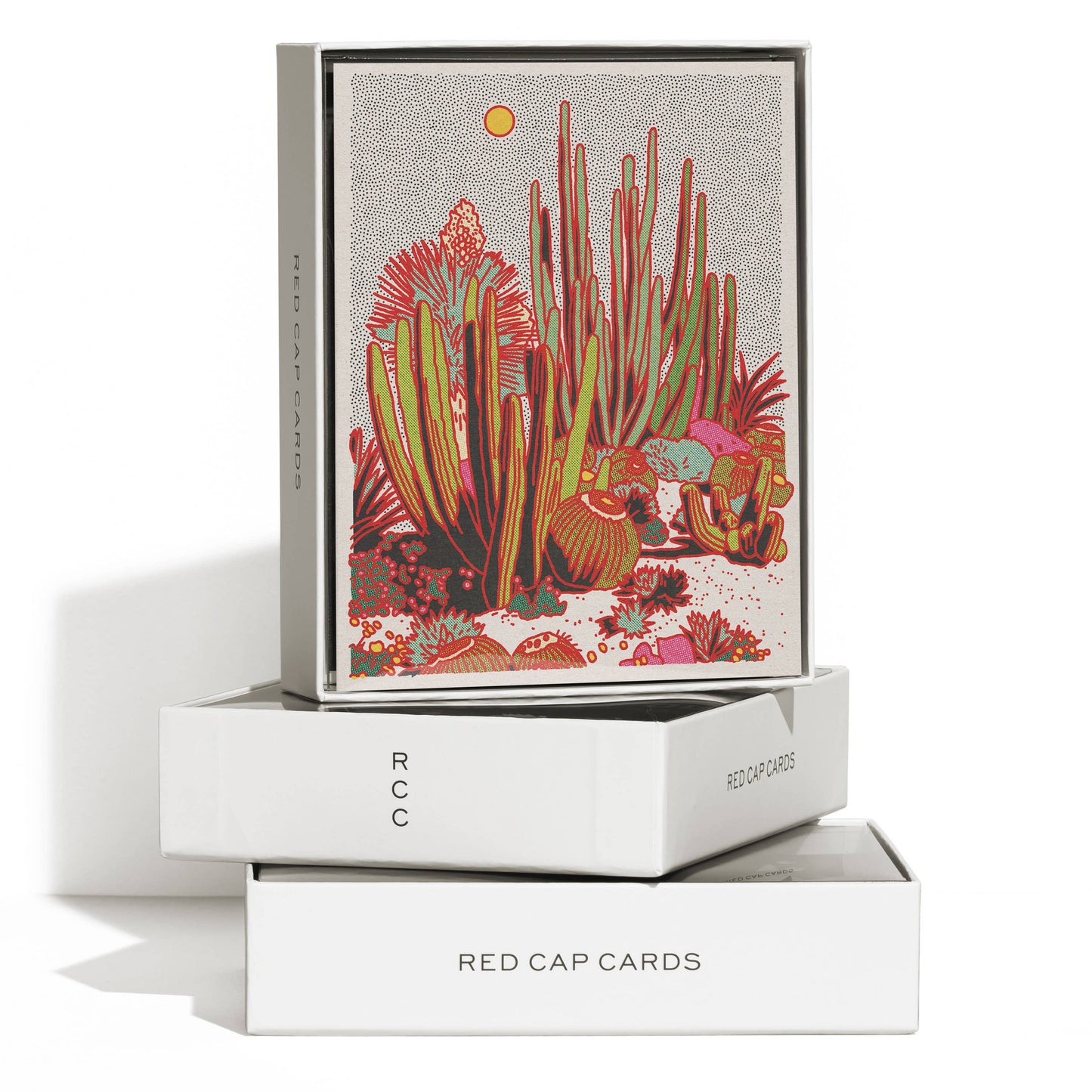 Cactus Scene everyday greeting card | Red Cap Cards
