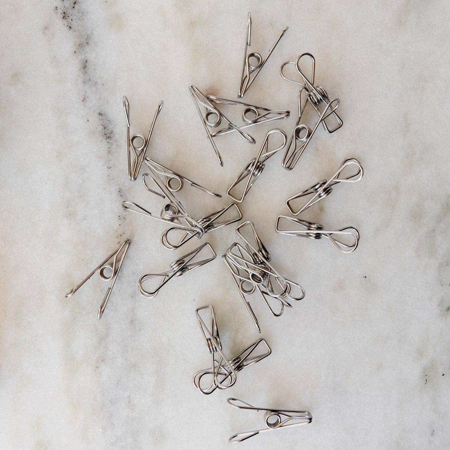 ZWS Essentials | Stainless Steel Clips - Laundry Pegs, Clothespins