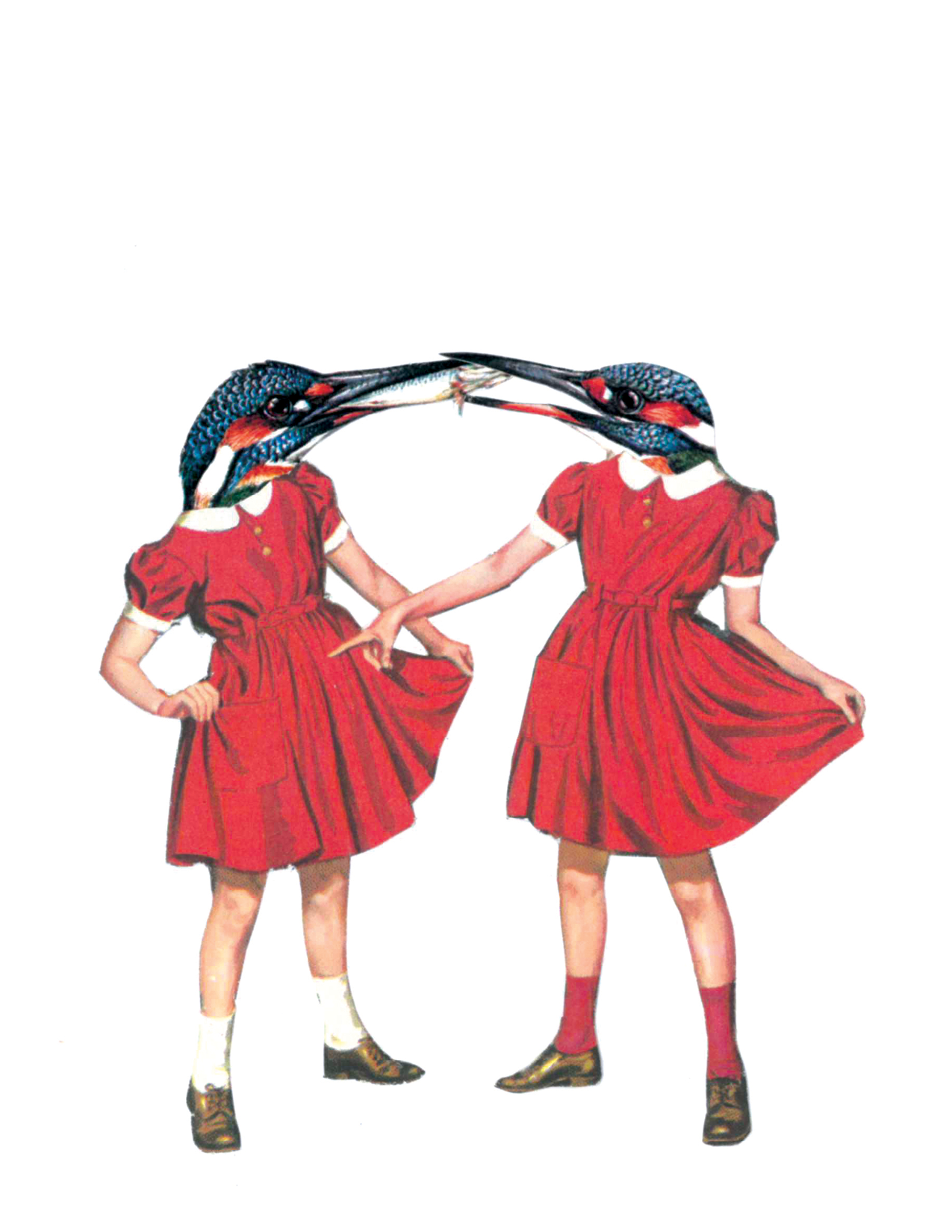 Rare Bird | Thanks for sharing!