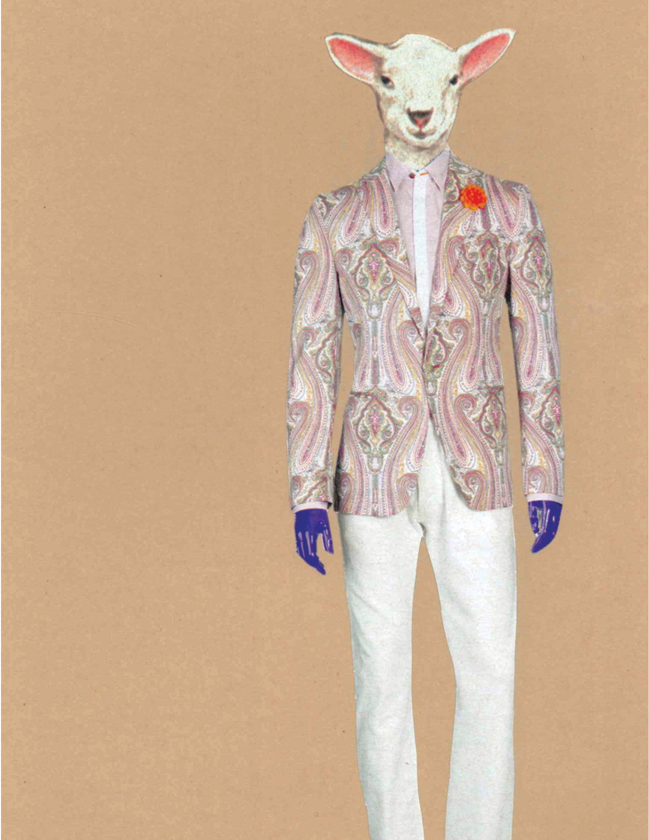 Rare Bird | Trendy Lamb