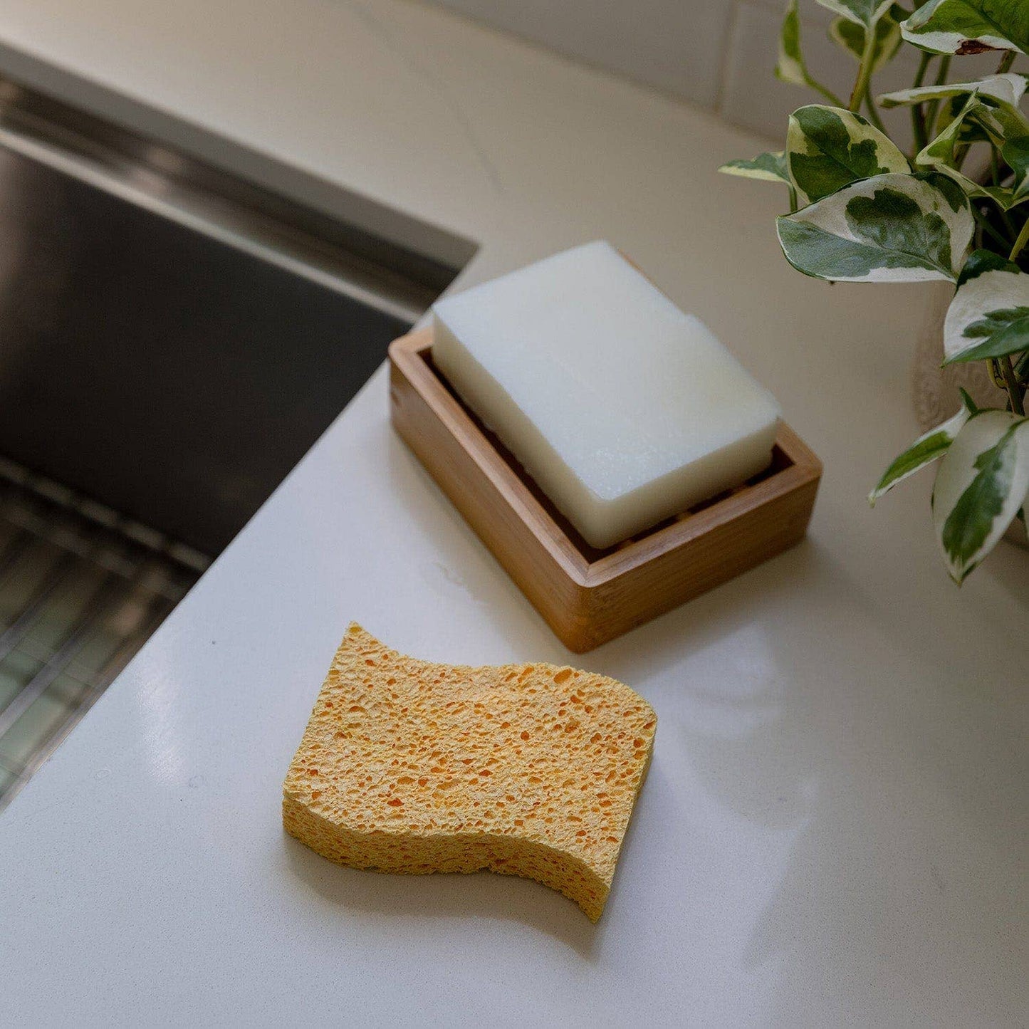ZWS Essentials | Biodegradable Kitchen Sponge 2-Pack