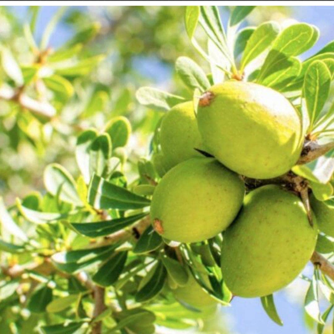 Argan Oil - WOO™