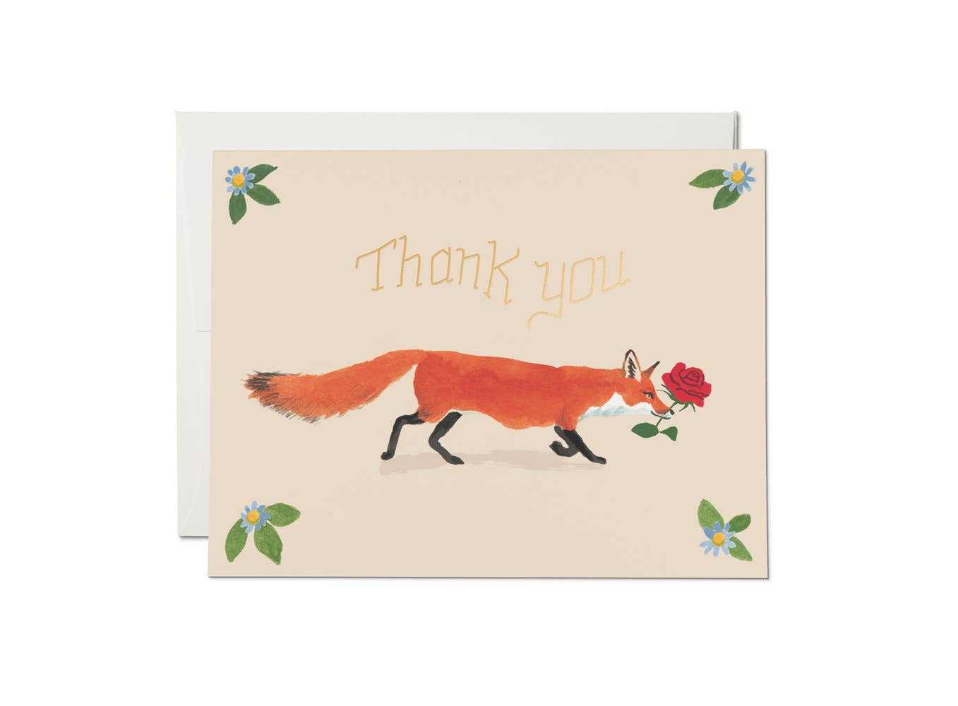 Thanks Fox | Red Cap Cards