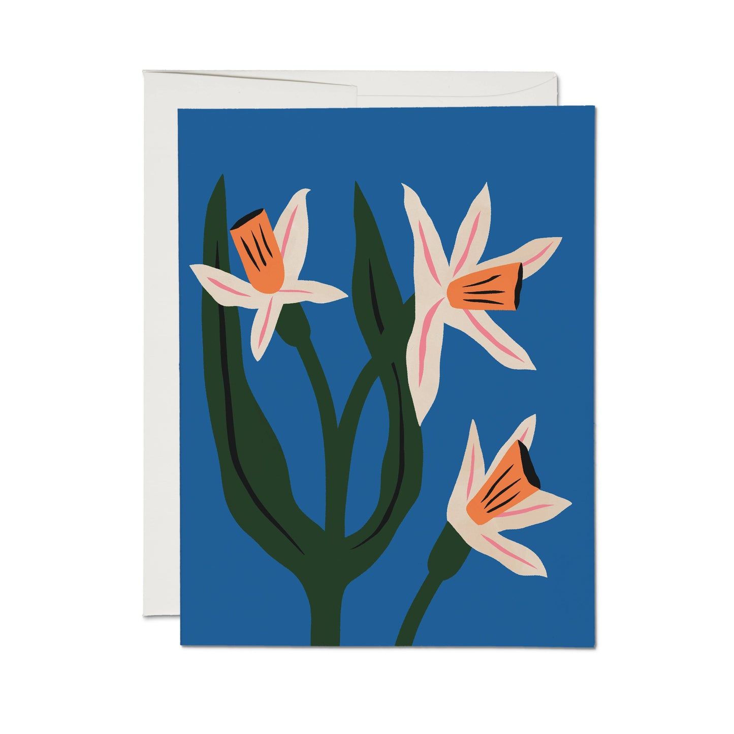 Blue Daffodils | Red Cap Cards