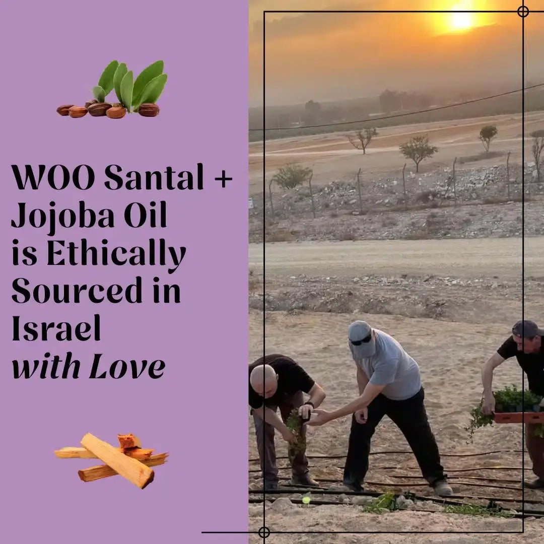 Santal + Jojoba Oilm - WOO™