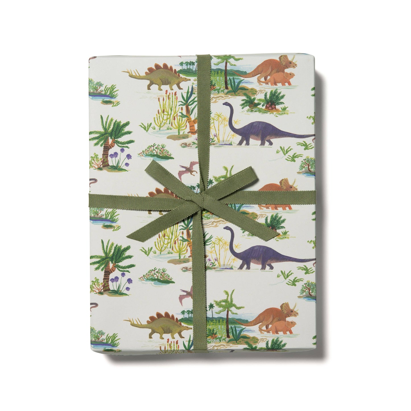 Red Cap Cards | Dinosaurs wrapping paper