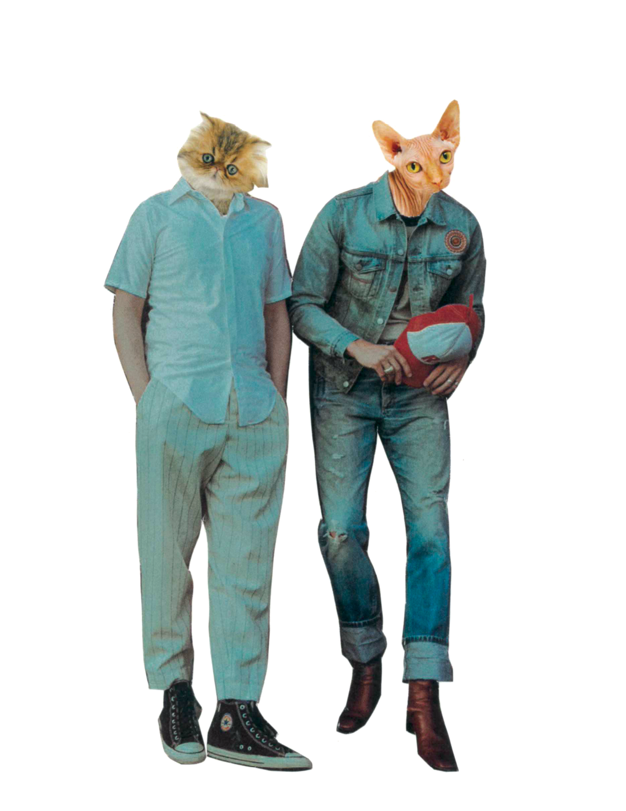 Rare Bird | Cool Cats