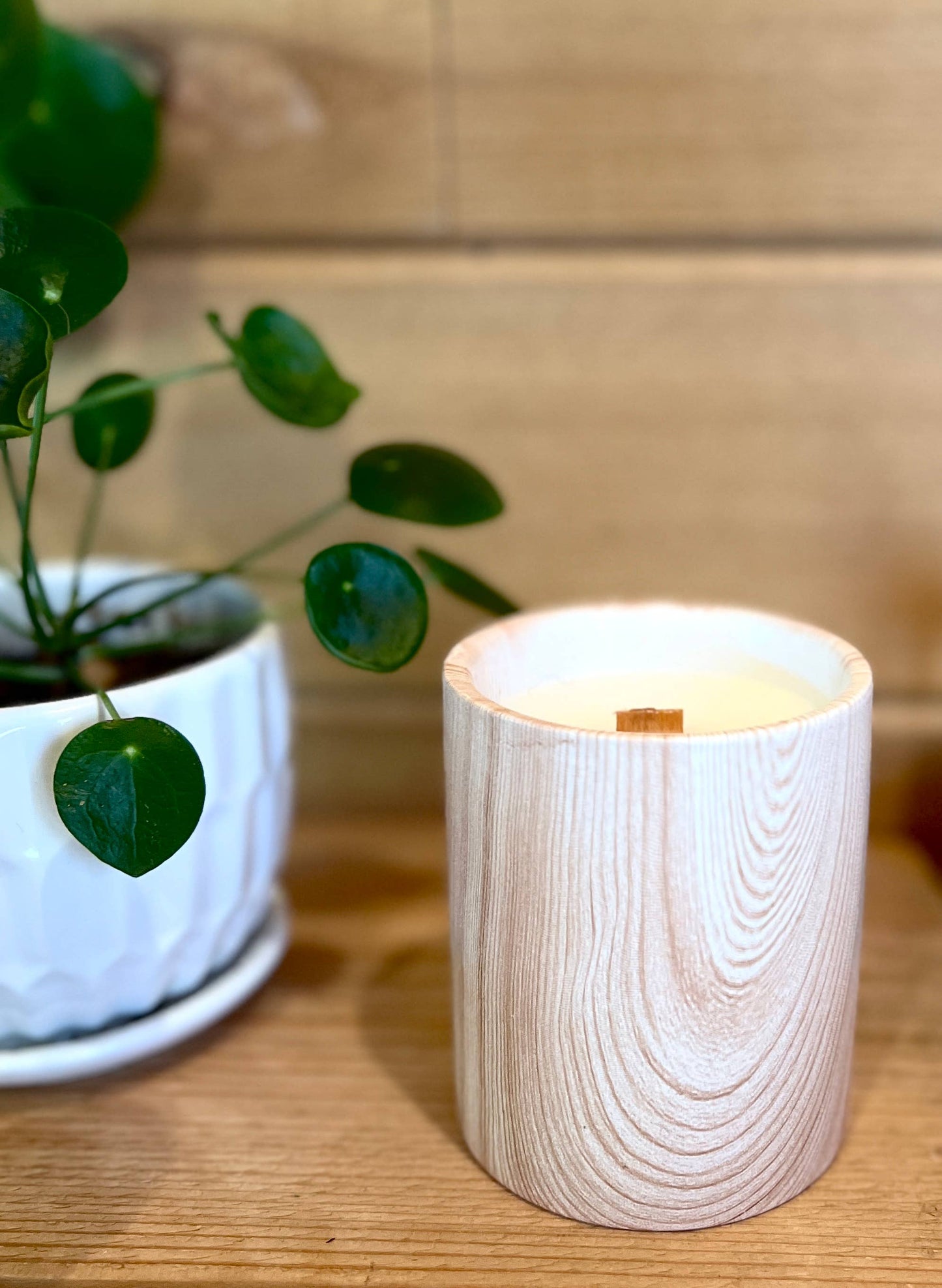Biophilia: Wood/Ceramic Hinoki Scented Candle | The Sacred Wild Candle Co