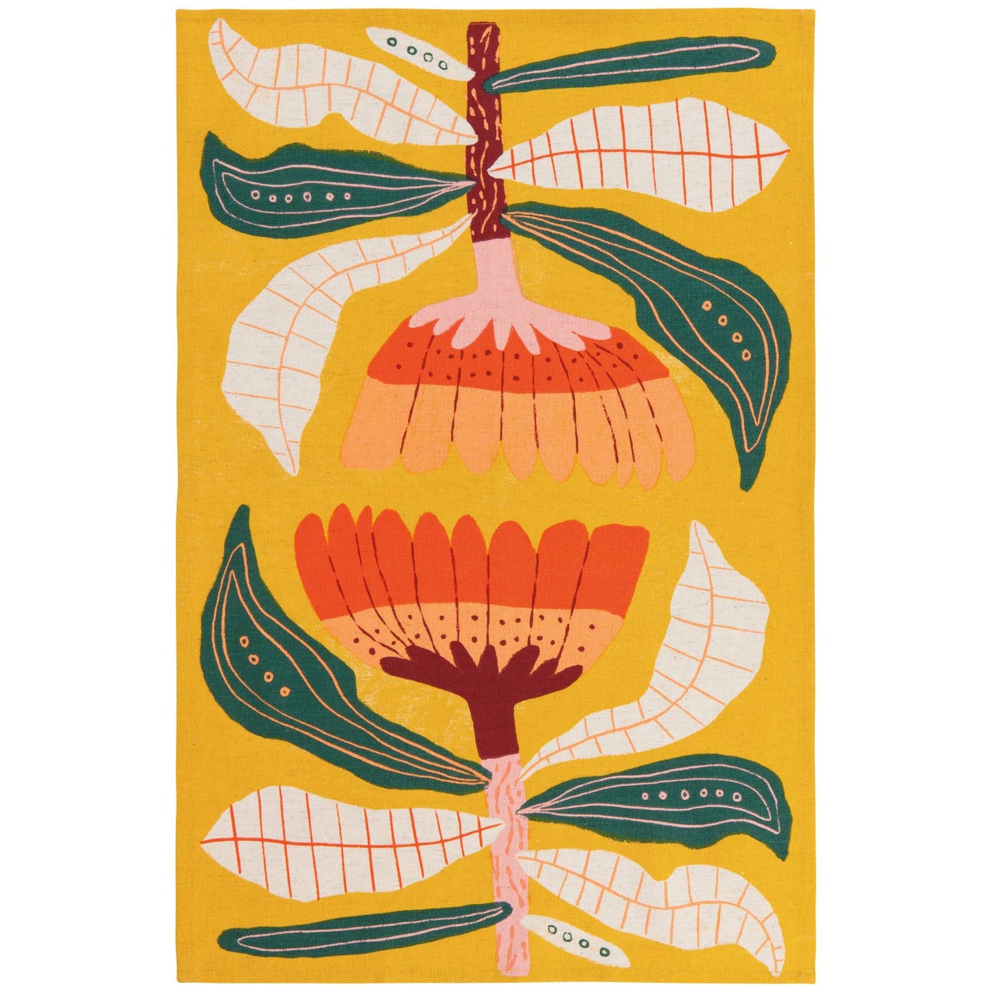 Venus Dishtowels Set of 2 | Danica Studio