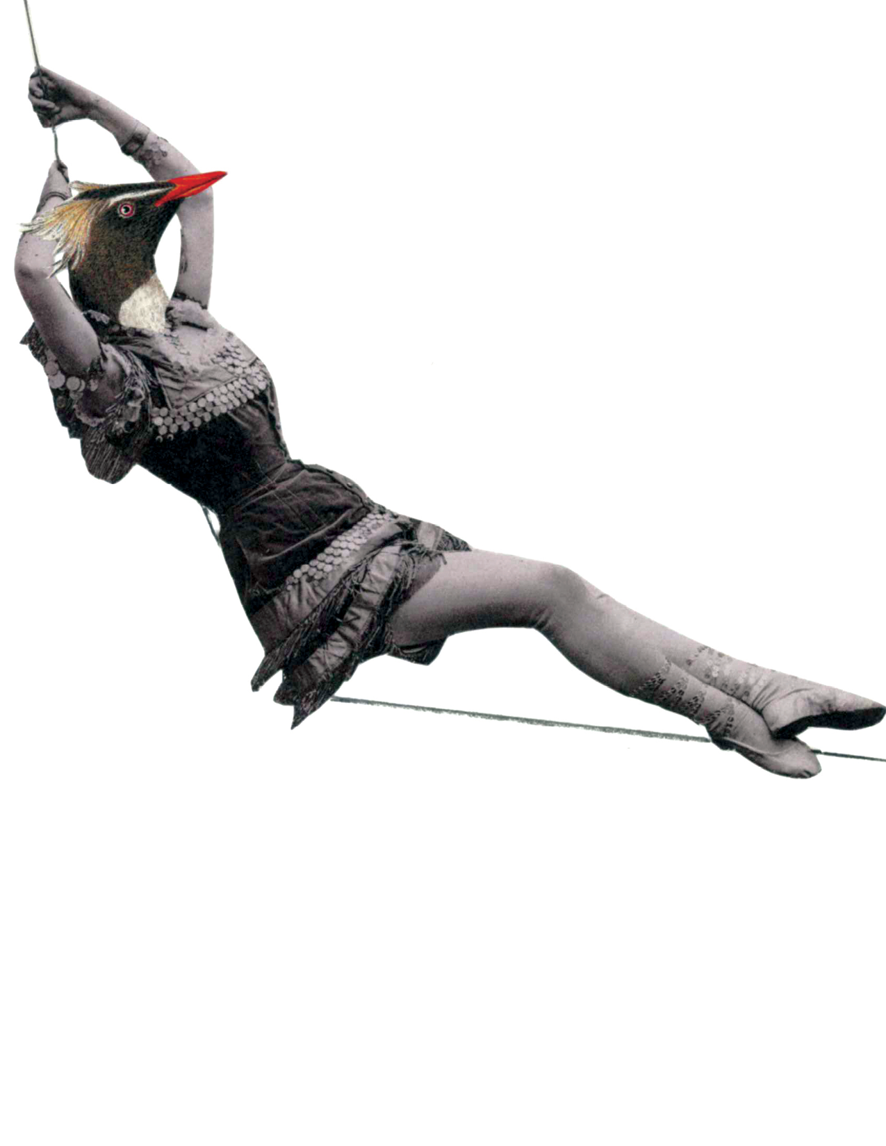 Relax and enjoy! | Rare Bird