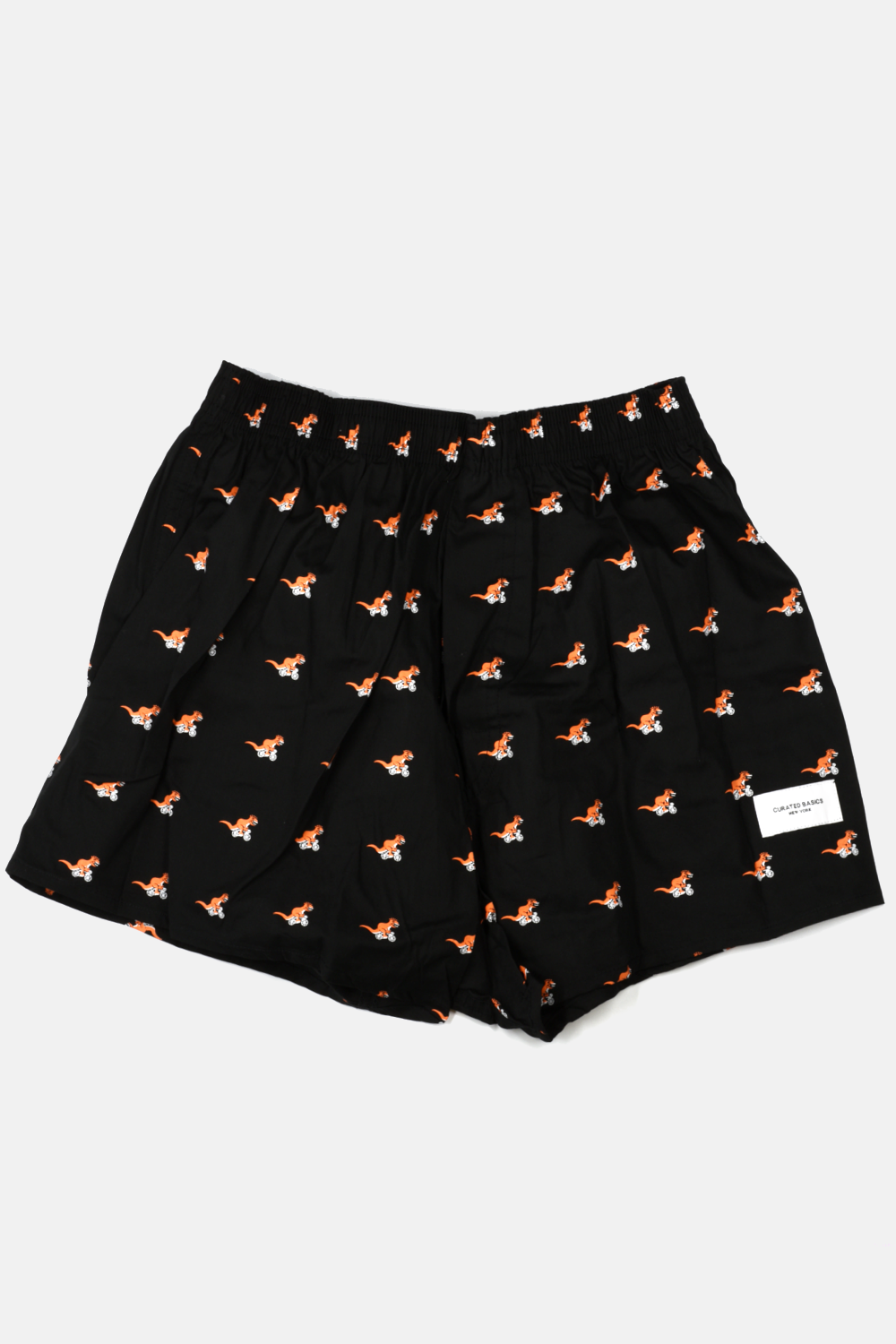 Curated Basics | T-Rex on a Bike Boxer Shorts