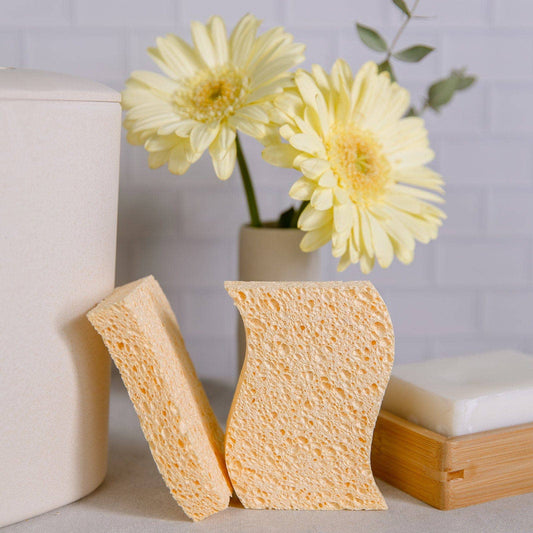 ZWS Essentials | Biodegradable Kitchen Sponge 2-Pack