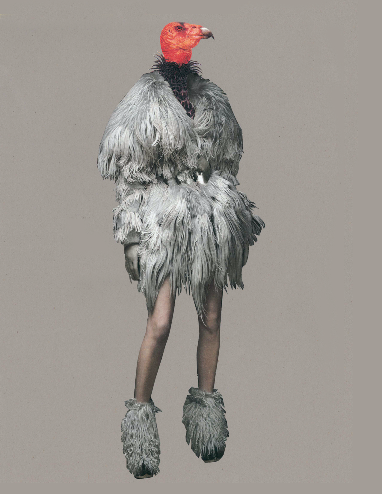 Rare Bird | Vulture Couture