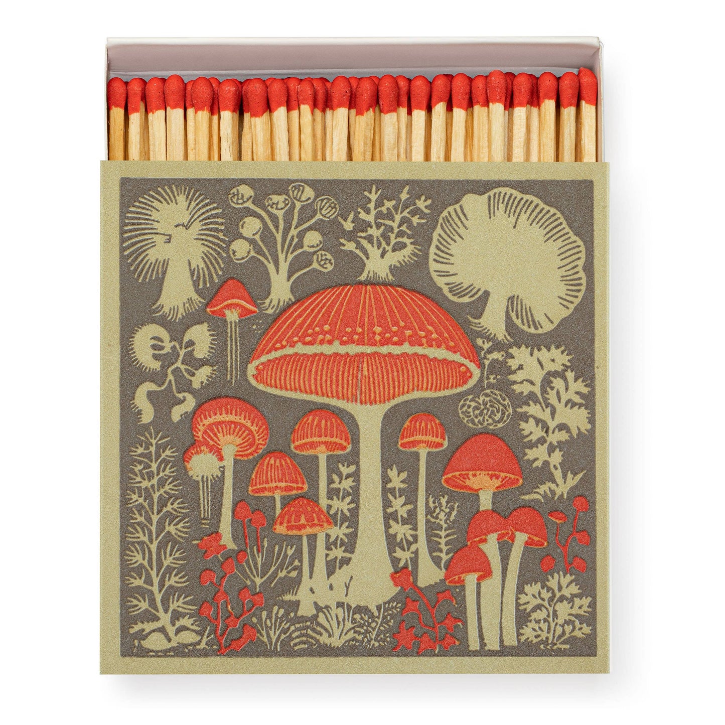 Mushrooms | Archivist Safety Matches