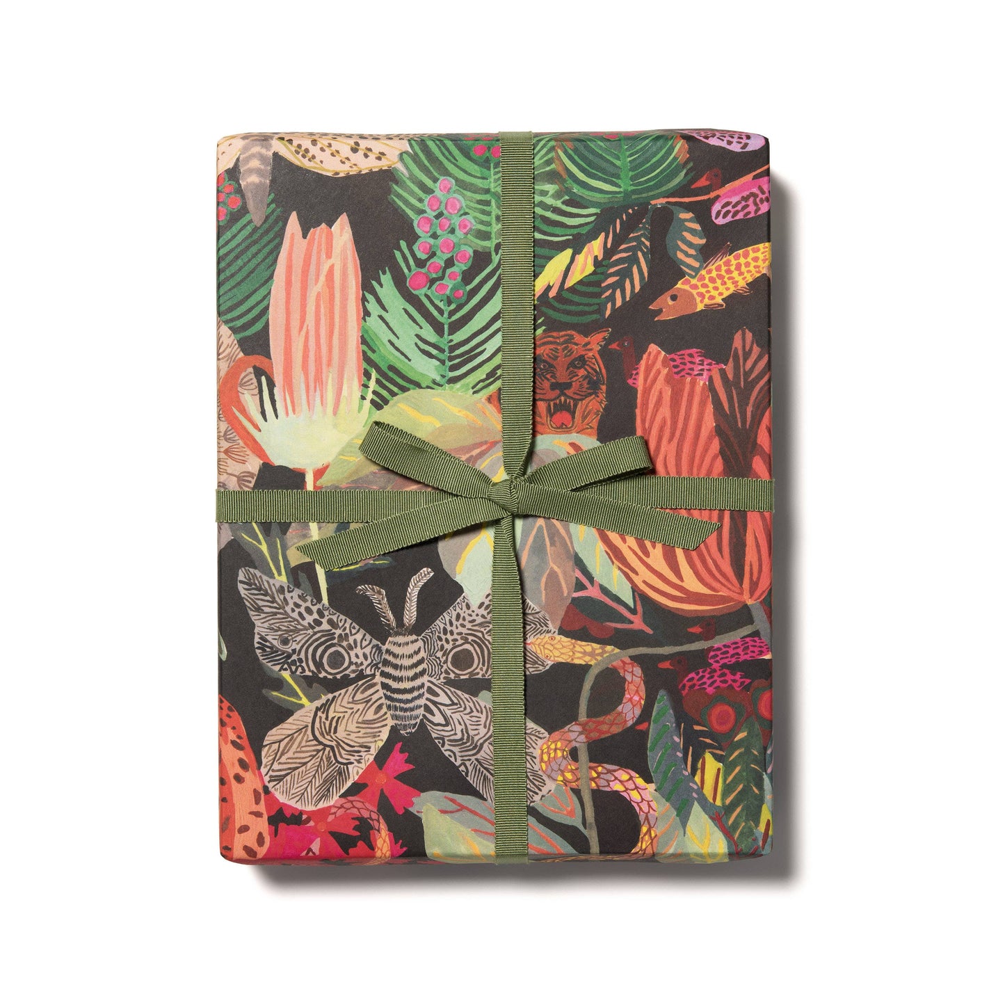 Red Cap Cards | Wild Kingdom wrapping paper