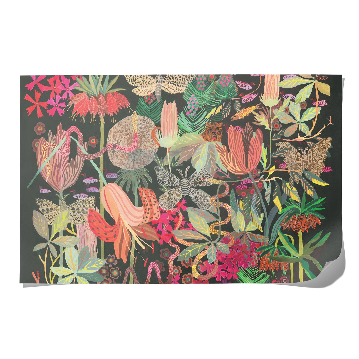Red Cap Cards | Wild Kingdom wrapping paper