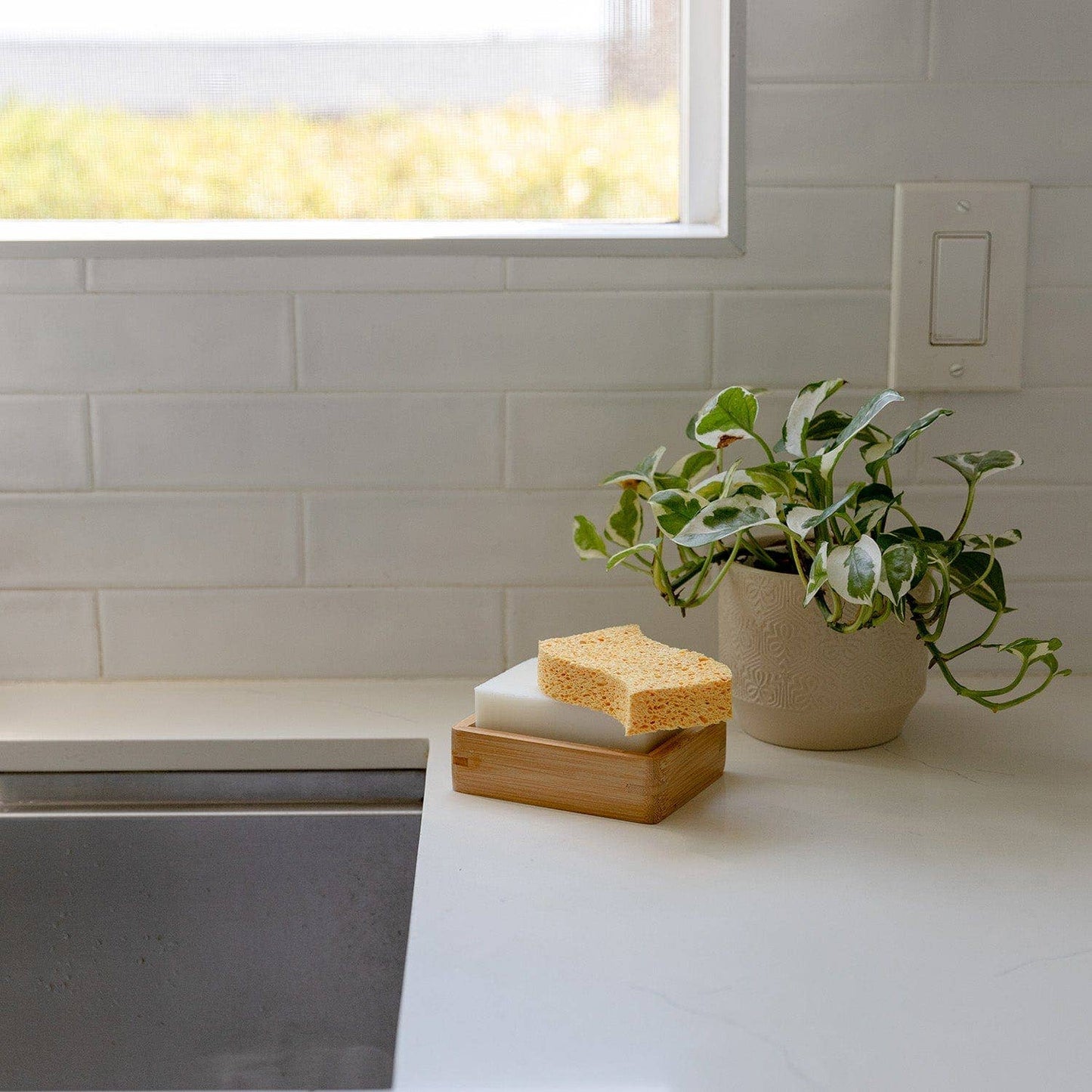ZWS Essentials | Biodegradable Kitchen Sponge 2-Pack