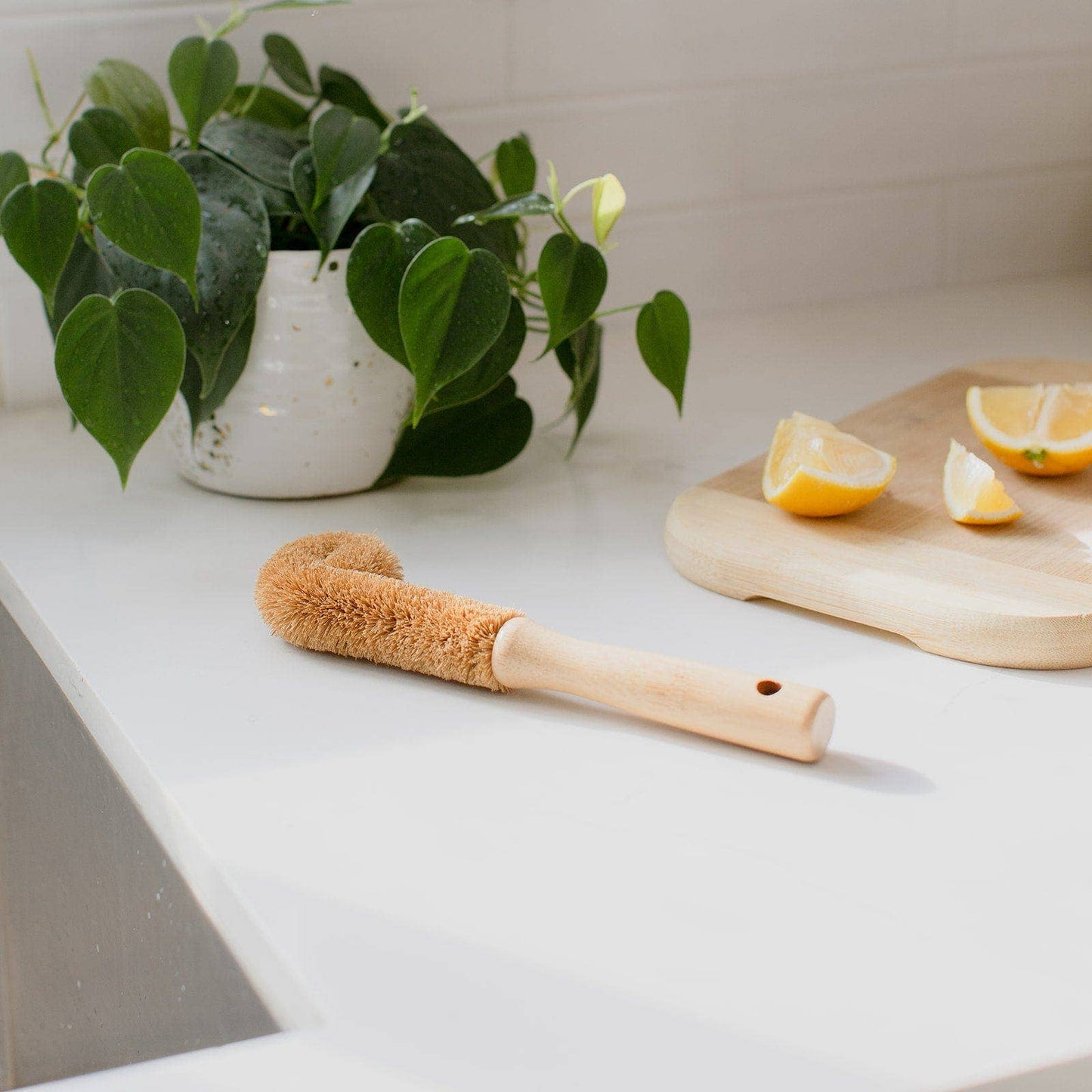 ZWS Essentials | Coconut Bottle Brush