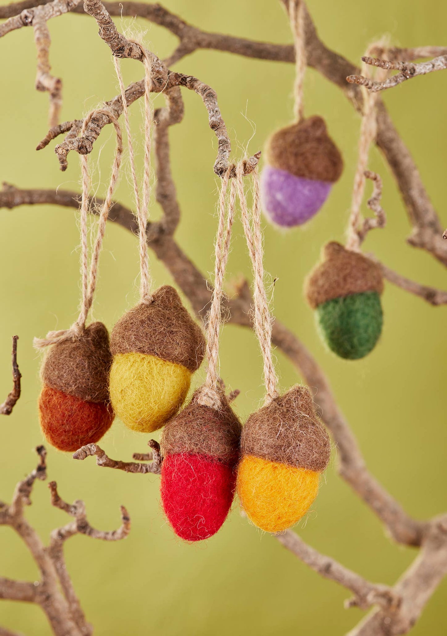 Set of 6 Felt Rainbow Acorn Decorations | Namaste